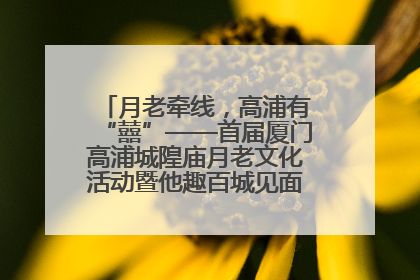 月老牵线，高浦有“囍”——首届厦门高浦城隍庙月老文化活动暨他趣百城见面会隆重举办