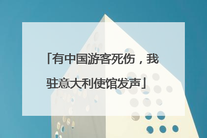 有中国游客死伤，我驻意大利使馆发声