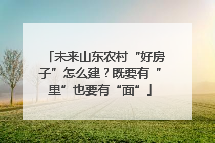 未来山东农村“好房子”怎么建？既要有“里”也要有“面”