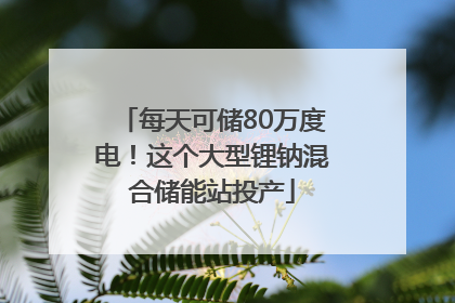 每天可储80万度电！这个大型锂钠混合储能站投产