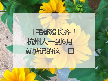 毛都没长齐！杭州人一到6月就惦记的这一口悄悄上市，你打算尝鲜吗？
