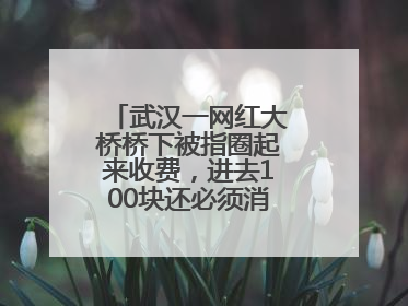 武汉一网红大桥桥下被指圈起来收费，进去100块还必须消费？当地回应