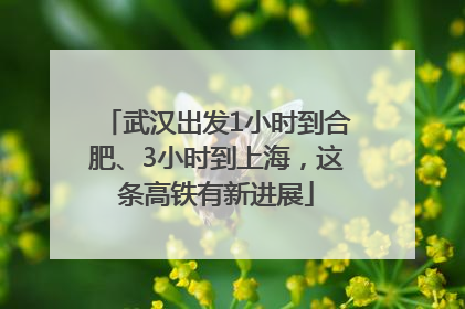 武汉出发1小时到合肥、3小时到上海，这条高铁有新进展