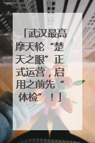 武汉最高摩天轮“楚天之眼”正式运营，启用之前先“体检”！