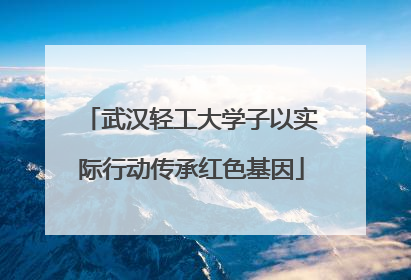 武汉轻工大学子以实际行动传承红色基因