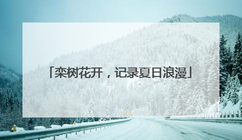 栾树花开，记录夏日浪漫