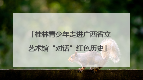 桂林青少年走进广西省立艺术馆“对话”红色历史