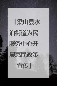梁山县水泊街道为民服务中心开展惠民政策宣传