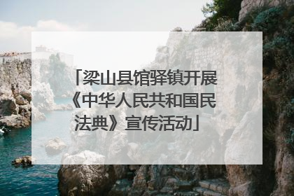 梁山县馆驿镇开展《中华人民共和国民法典》宣传活动