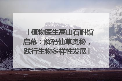 植物医生高山石斛馆启幕：解码仙草奥秘，践行生物多样性发展