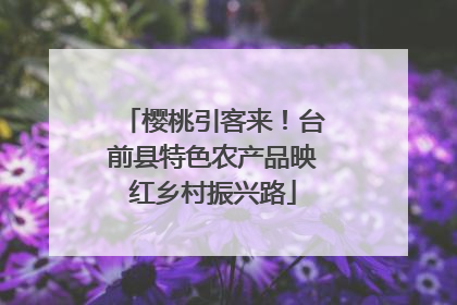 樱桃引客来!台前县特色农产品映红乡村振兴路