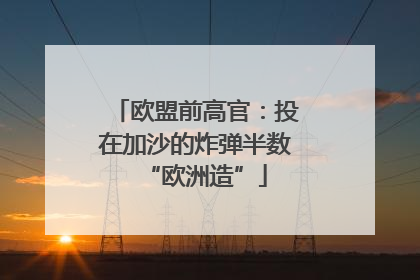 欧盟前高官：投在加沙的炸弹半数“欧洲造”