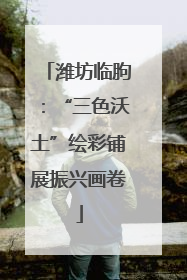 潍坊临朐：“三色沃土”绘彩铺展振兴画卷