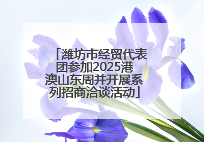 潍坊市经贸代表团参加2025港澳山东周并开展系列招商洽谈活动