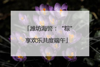 潍坊海警：“粽”享欢乐共度端午
