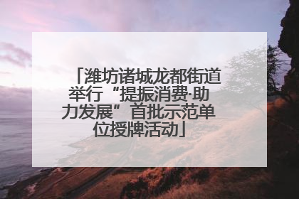潍坊诸城龙都街道举行“提振消费·助力发展”首批示范单位授牌活动