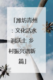 潍坊青州：文化活水润沃土 乡村振兴谱新篇