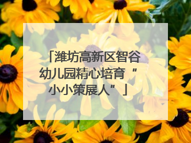 潍坊高新区智谷幼儿园精心培育“小小策展人”