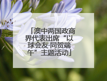 澳中两国政商界代表出席“以球会友·同贺端午”主题活动