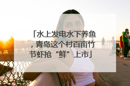 水上发电水下养鱼，青岛这个村百亩竹节虾抢“鲜”上市
