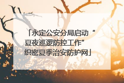 永定公安分局启动“夏夜巡逻防控工作” 织密夏季治安防护网
