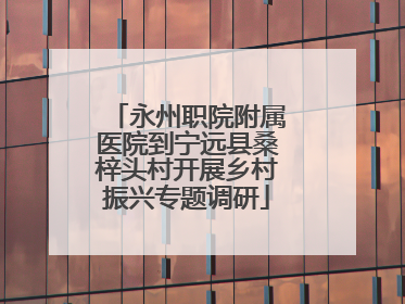 永州职院附属医院到宁远县桑梓头村开展乡村振兴专题调研