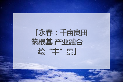 永春：千亩良田筑根基 产业融合绘“丰”景