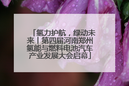 氢力护航，绿动未来丨第四届河南郑州氢能与燃料电池汽车产业发展大会启幕