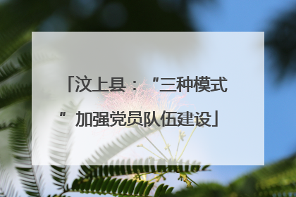 汶上县：“三种模式”加强党员队伍建设