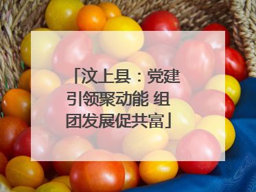 汶上县：党建引领聚动能 组团发展促共富