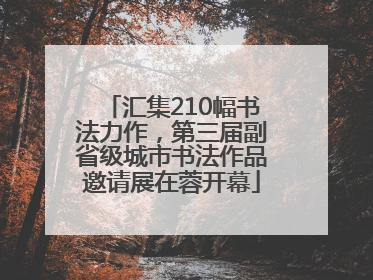 汇集210幅书法力作，第三届副省级城市书法作品邀请展在蓉开幕