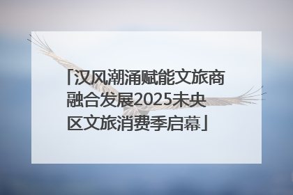 汉风潮涌赋能文旅商融合发展2025未央区文旅消费季启幕