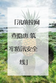 汛前拉网查隐患 筑牢防汛安全线