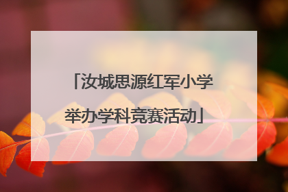 汝城思源红军小学举办学科竞赛活动