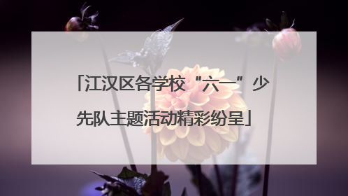 江汉区各学校“六一”少先队主题活动精彩纷呈
