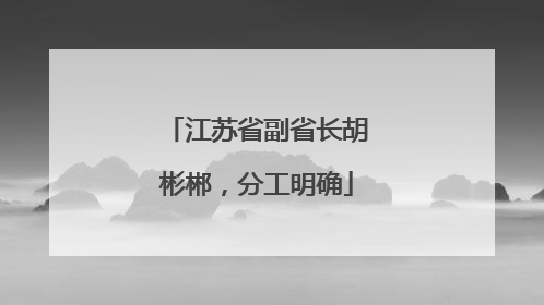 江苏省副省长胡彬郴，分工明确