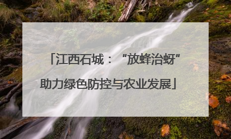 江西石城：“放蜂治蚜”助力绿色防控与农业发展