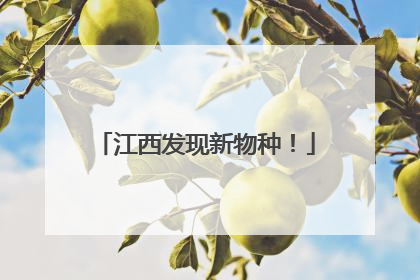 江西发现新物种！