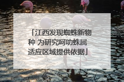 江西发现蜘蛛新物种 为研究呵叻蛛属适应区域提供依据