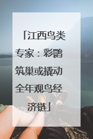 江西鸟类专家：彩鹮筑巢或撬动全年观鸟经济链