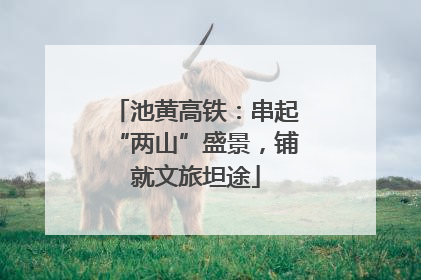 池黄高铁：串起“两山”盛景，铺就文旅坦途
