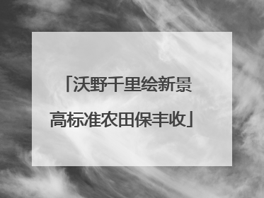 沃野千里绘新景 高标准农田保丰收