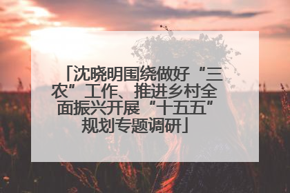 沈晓明围绕做好“三农”工作、推进乡村全面振兴开展“十五五”规划专题调研