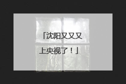 沈阳又又又上央视了！