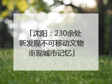沈阳：230余处新发现不可移动文物重现城市记忆