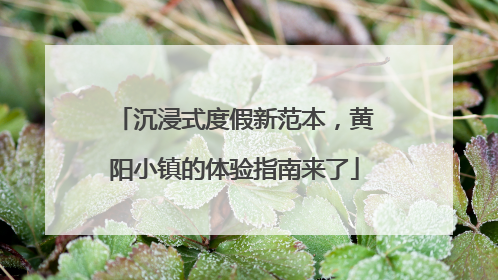 沉浸式度假新范本，黄阳小镇的体验指南来了