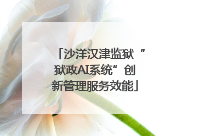 沙洋汉津监狱“狱政AI系统”创新管理服务效能