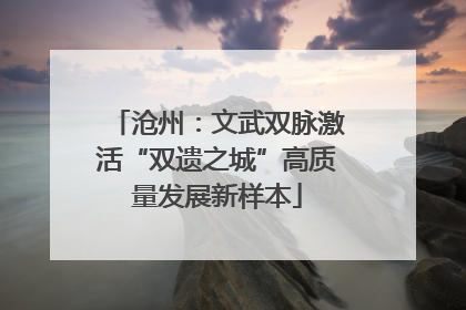 沧州：文武双脉激活“双遗之城”高质量发展新样本