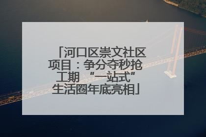 河口区崇文社区项目：争分夺秒抢工期 “一站式”生活圈年底亮相