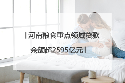 河南粮食重点领域贷款余额超2595亿元